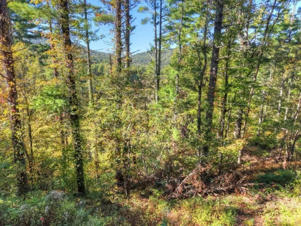 4 bedroom, 4 bathroom, 2,741 sq ft single family residence for sale at LT 123 Bell Camp Ridge Road, Blue Ridge, GA 30513 — photo 5