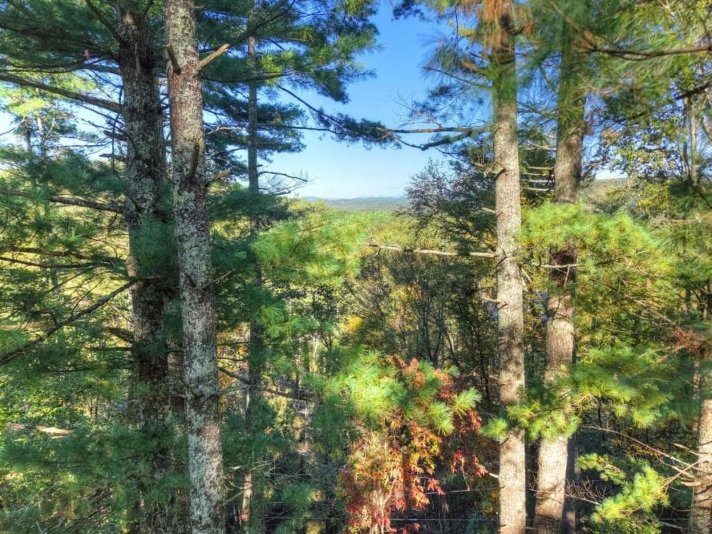 4 bedroom, 4 bathroom, 2,741 sq ft single family residence for sale at LT 123 Bell Camp Ridge Road, Blue Ridge, GA 30513 — photo 6