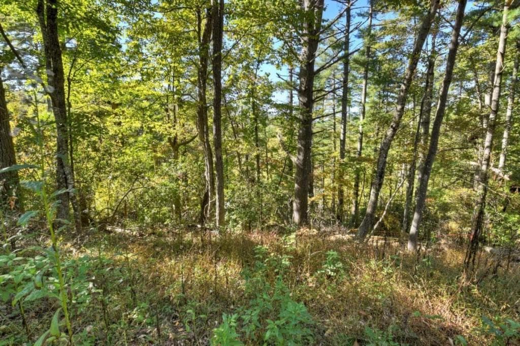4 bedroom, 4 bathroom, 2,741 sq ft single family residence for sale at LT 123 Bell Camp Ridge Road, Blue Ridge, GA 30513 — photo 7