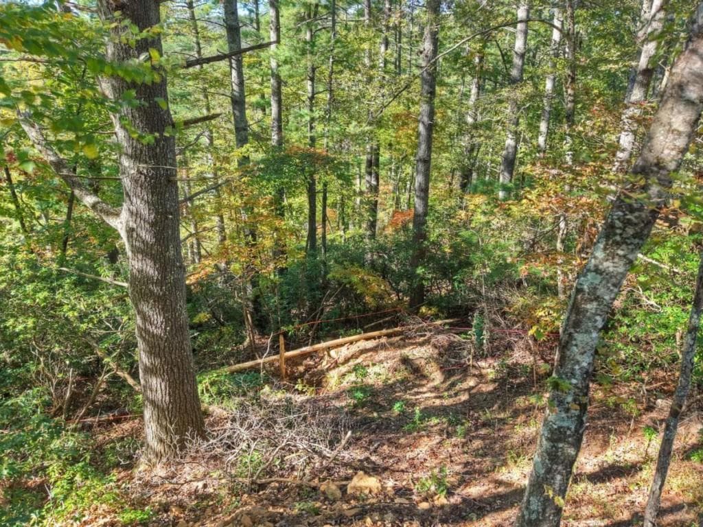 4 bedroom, 4 bathroom, 2,741 sq ft single family residence for sale at LT 123 Bell Camp Ridge Road, Blue Ridge, GA 30513 — photo 8