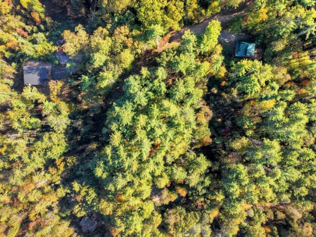 4 bedroom, 4 bathroom, 2,741 sq ft single family residence for sale at LT 123 Bell Camp Ridge Road, Blue Ridge, GA 30513 — photo 9