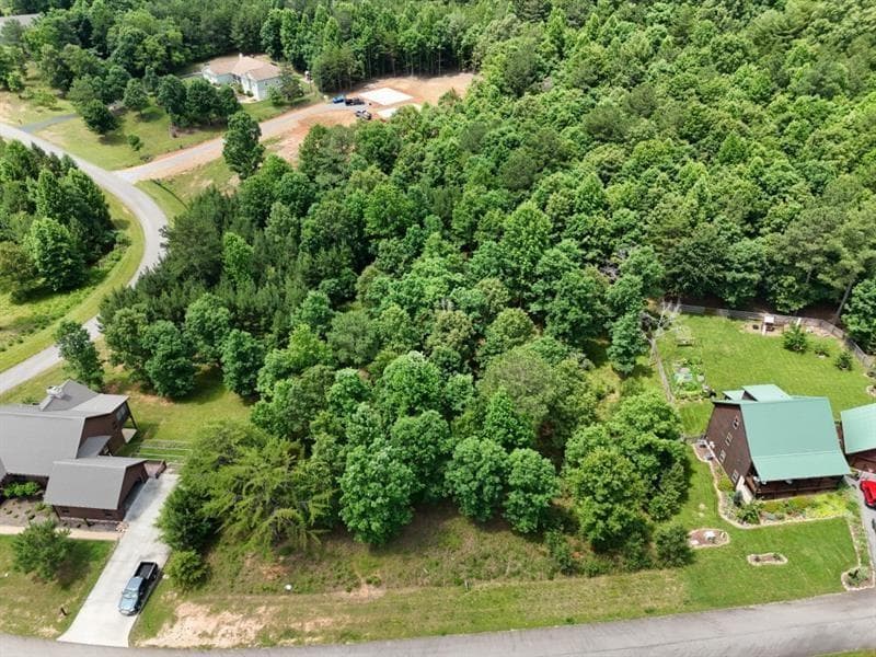 other for sale at 0 Village Loop, Blairsville, GA 30512 — photo 2
