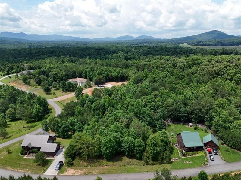 other for sale at 0 Village Loop, Blairsville, GA 30512 — photo 3