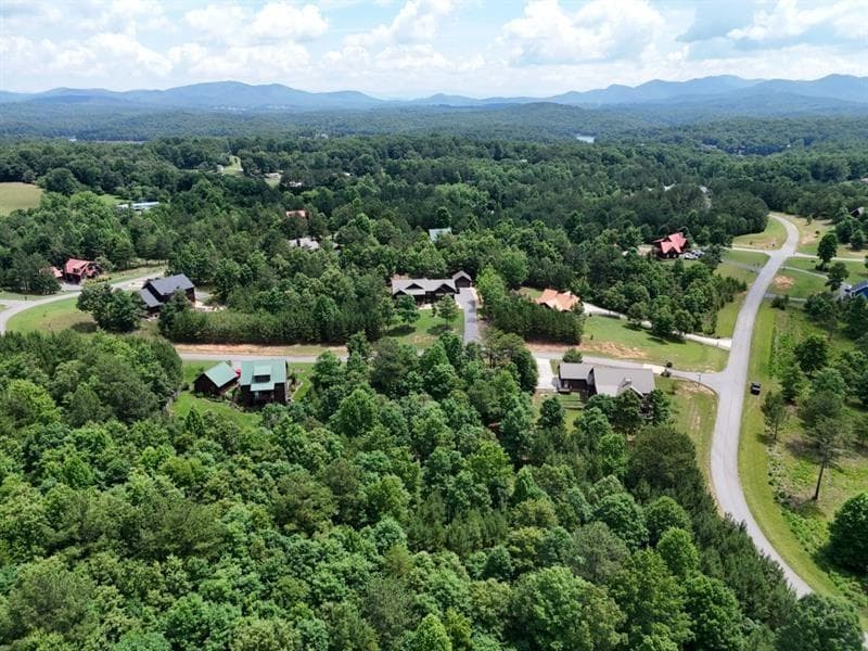 other for sale at 0 Village Loop, Blairsville, GA 30512 — photo 4