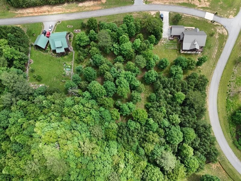other for sale at 0 Village Loop, Blairsville, GA 30512 — photo 5