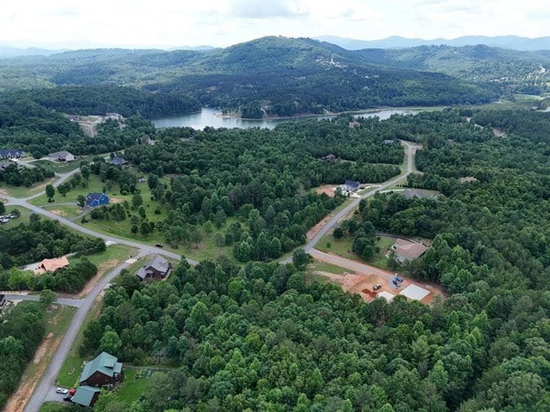 other for sale at 0 Village Loop, Blairsville, GA 30512 — photo 10