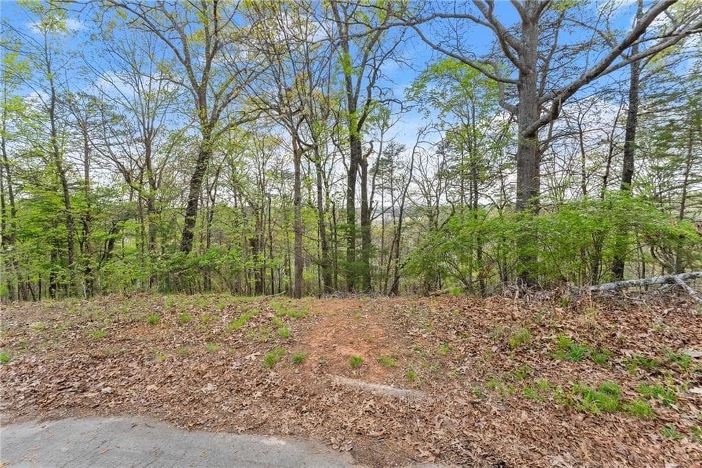 single family residence for sale at 0 Thompson Ovlk, Gainesville, GA 30506 — photo 5