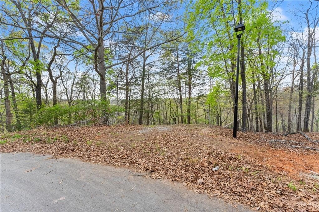 single family residence for sale at 0 Thompson Ovlk, Gainesville, GA 30506 — photo 6