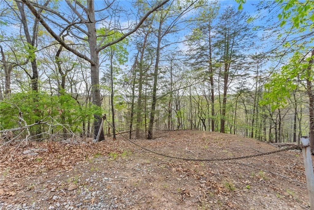 single family residence for sale at 0 Thompson Ovlk, Gainesville, GA 30506 — photo 7