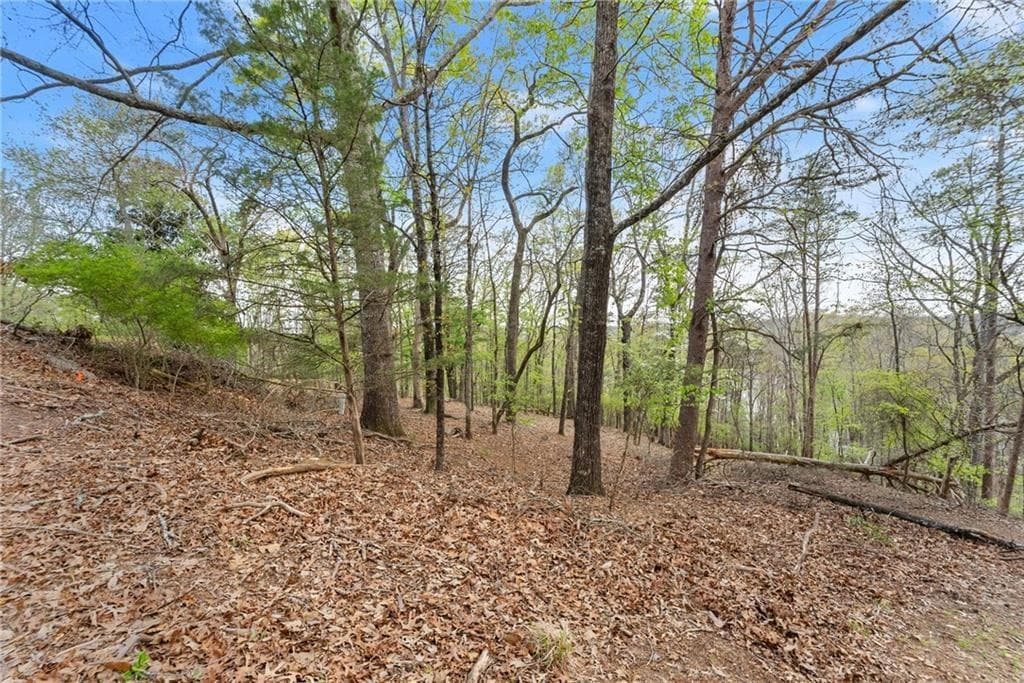 single family residence for sale at 0 Thompson Ovlk, Gainesville, GA 30506 — photo 8
