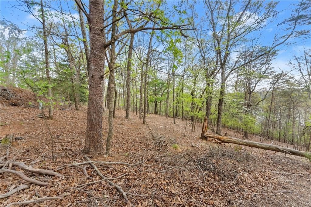single family residence for sale at 0 Thompson Ovlk, Gainesville, GA 30506 — photo 9