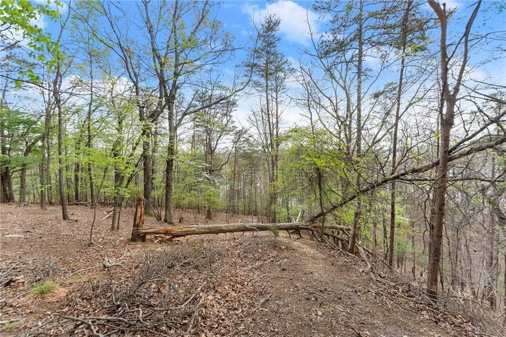 single family residence for sale at 0 Thompson Ovlk, Gainesville, GA 30506 — photo 10