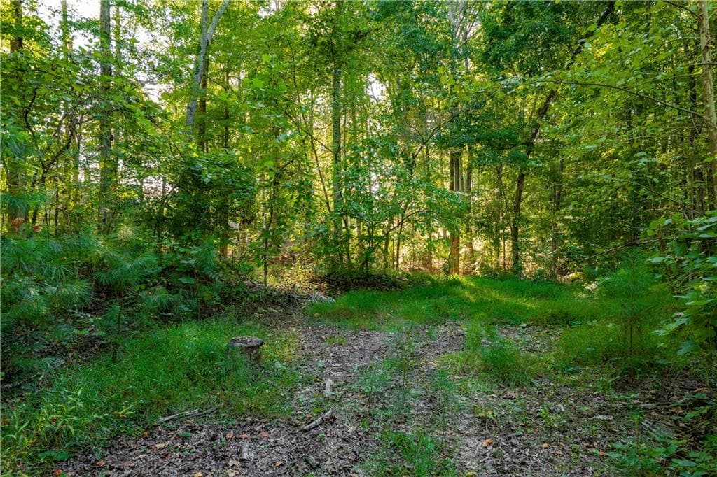 single family residence for sale at 3015 Mars Hill Road, Acworth, GA 30101 — photo 3