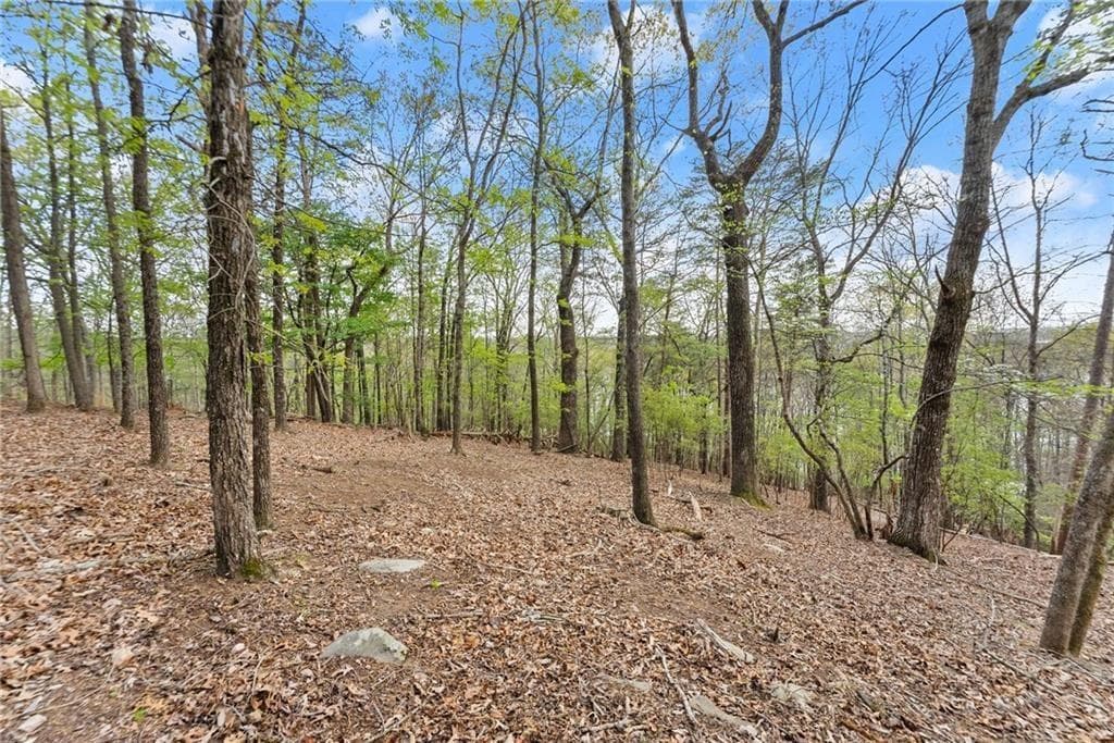 single family residence for sale at 2524 Thompson Ovlk, Gainesville, GA 30506 — photo 2