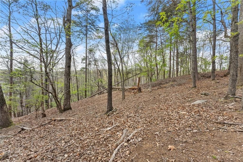 single family residence for sale at 2524 Thompson Ovlk, Gainesville, GA 30506 — photo 4
