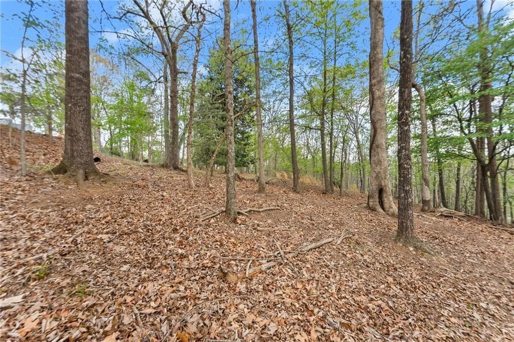 single family residence for sale at 2524 Thompson Ovlk, Gainesville, GA 30506 — photo 5