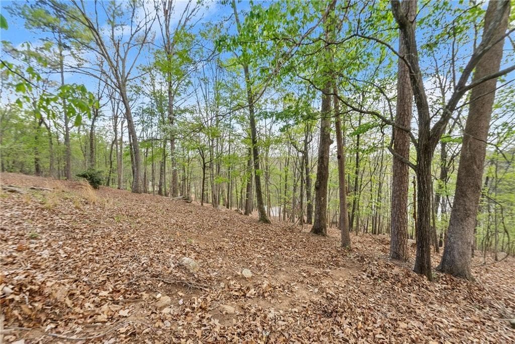 single family residence for sale at 2524 Thompson Ovlk, Gainesville, GA 30506 — photo 6