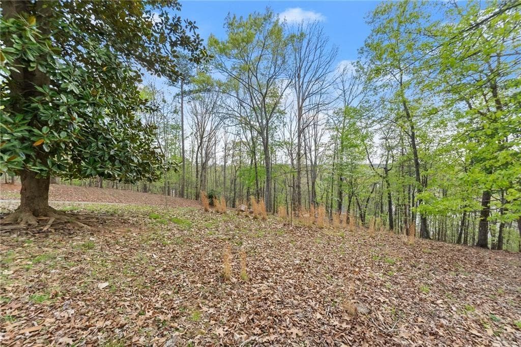single family residence for sale at 2524 Thompson Ovlk, Gainesville, GA 30506 — photo 8