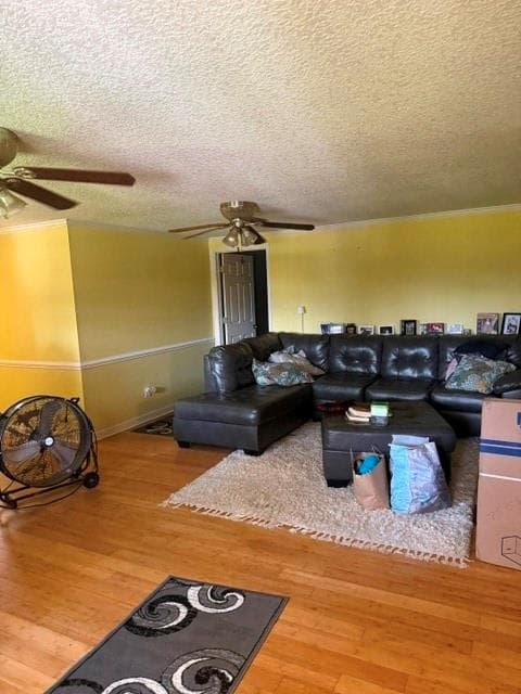 4 bedroom, 4 bathroom, 1,595 sq ft single family residence for sale at 5014 Isaac Road, Patterson, GA 31557 — photo 3