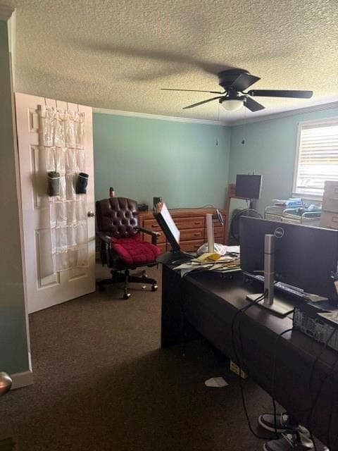 4 bedroom, 4 bathroom, 1,595 sq ft single family residence for sale at 5014 Isaac Road, Patterson, GA 31557 — photo 5