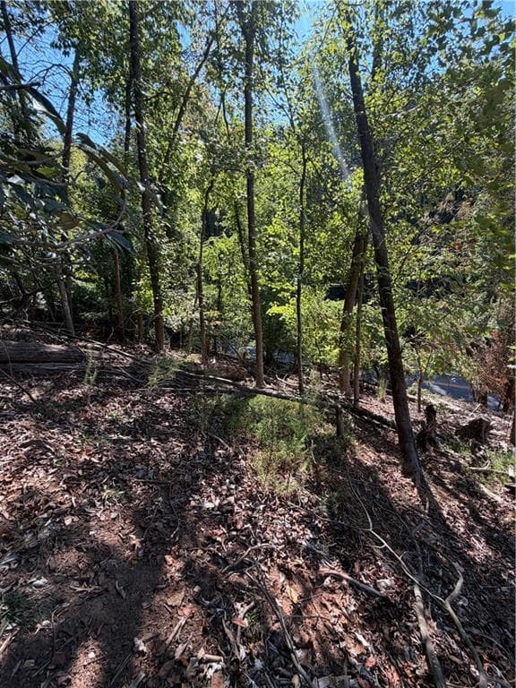single family residence for sale at 806 Dixon Drive, Gainesville, GA 30501 — photo 4