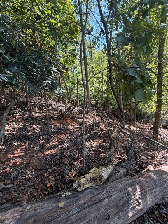 single family residence for sale at 806 Dixon Drive, Gainesville, GA 30501 — photo 5