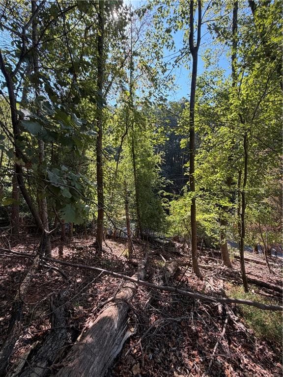 single family residence for sale at 806 Dixon Drive, Gainesville, GA 30501 — photo 6