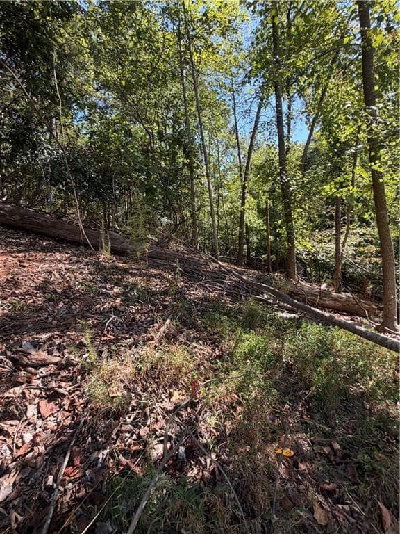 single family residence for sale at 806 Dixon Drive, Gainesville, GA 30501 — photo 8