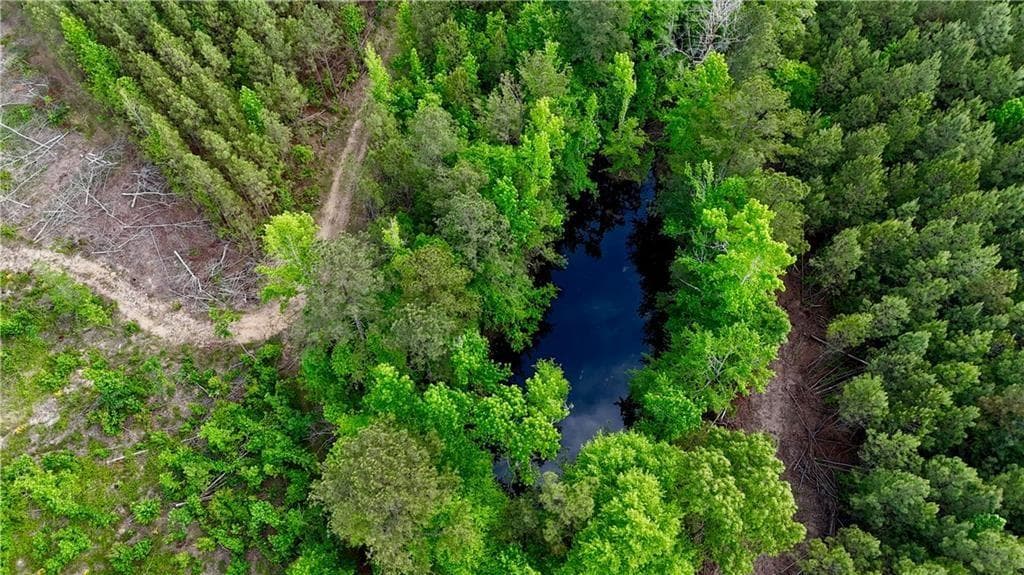 other for sale at 0 John Kay Road, Taylorsville, GA 30178 — photo 3