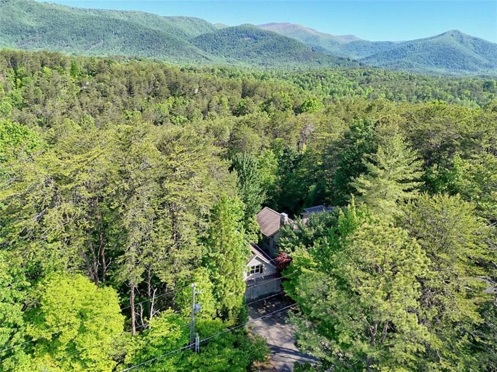 5 bedroom, 4 bathroom, 4,715 sq ft single family residence for sale at 519 Pinecrest Road, Sautee Nacoochee, GA 30571 — photo 3