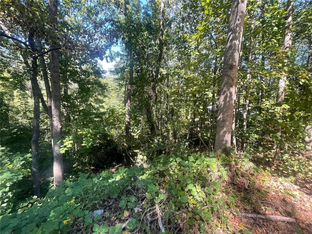 unimproved land for sale at 0 Eagle Court, Toccoa, GA 30577 — photo 4
