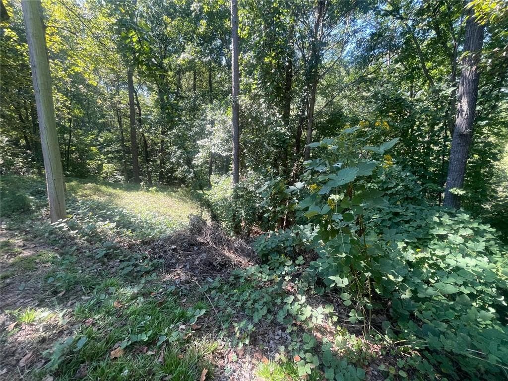 unimproved land for sale at 0 Eagle Court, Toccoa, GA 30577 — photo 6