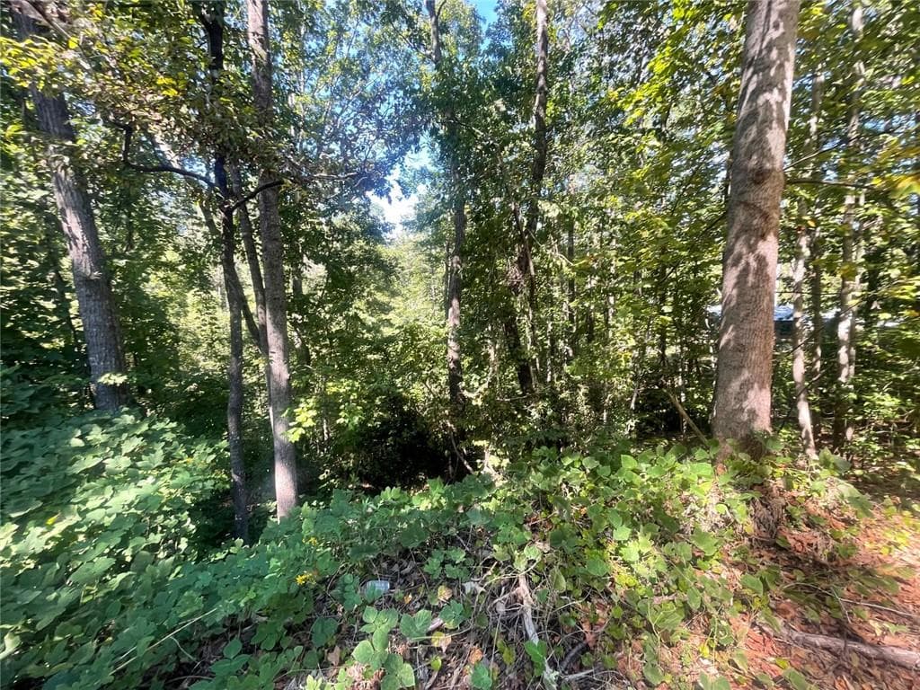 unimproved land for sale at 0 Eagle Court, Toccoa, GA 30577 — photo 7