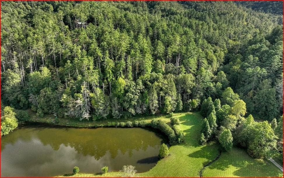 unimproved land for sale at 0 Walker Ridge, Mineral Bluff, GA 30559 — photo 2