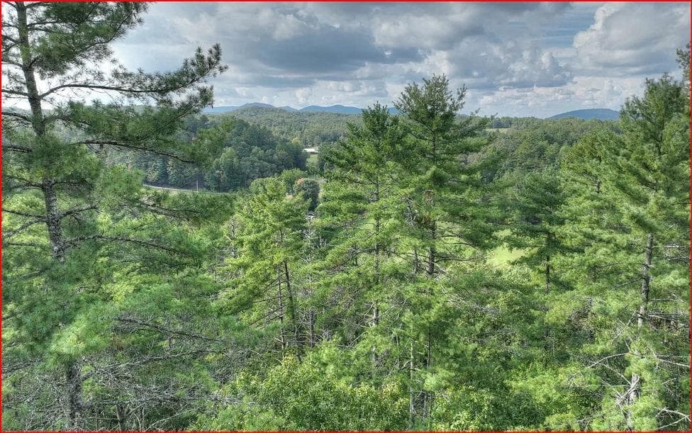 unimproved land for sale at 0 Walker Ridge, Mineral Bluff, GA 30559 — photo 3