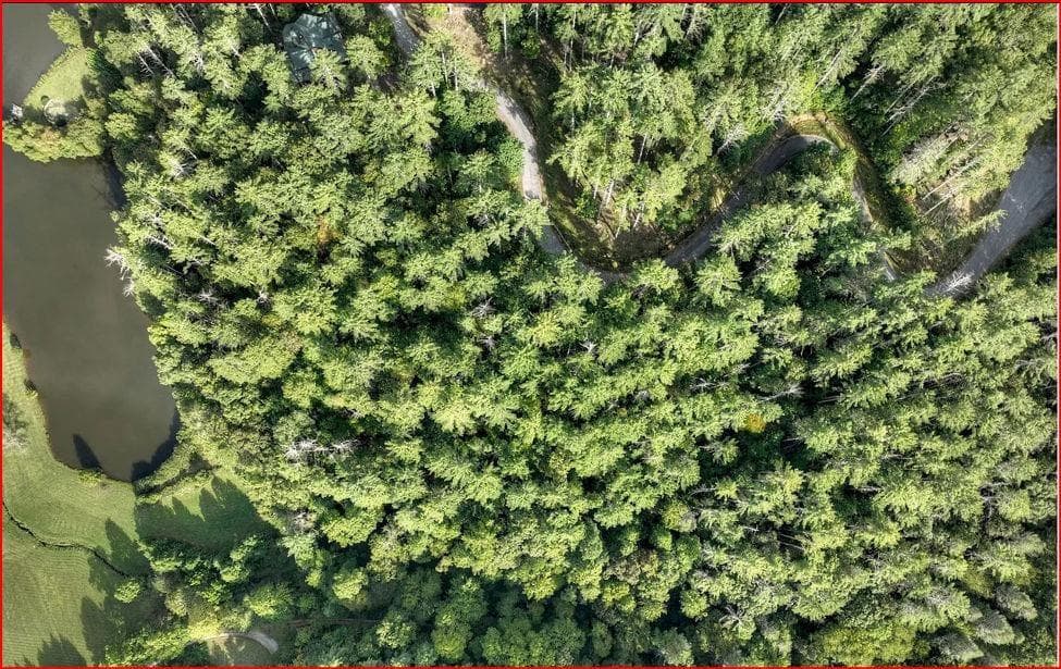 unimproved land for sale at 0 Walker Ridge, Mineral Bluff, GA 30559 — photo 4