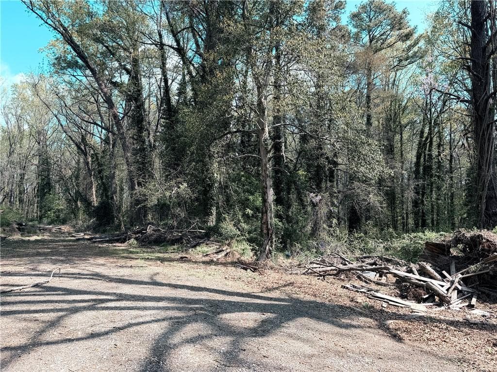 single family residence for sale at 0 Orchard Lane, Atlanta, GA 30354 — photo 2