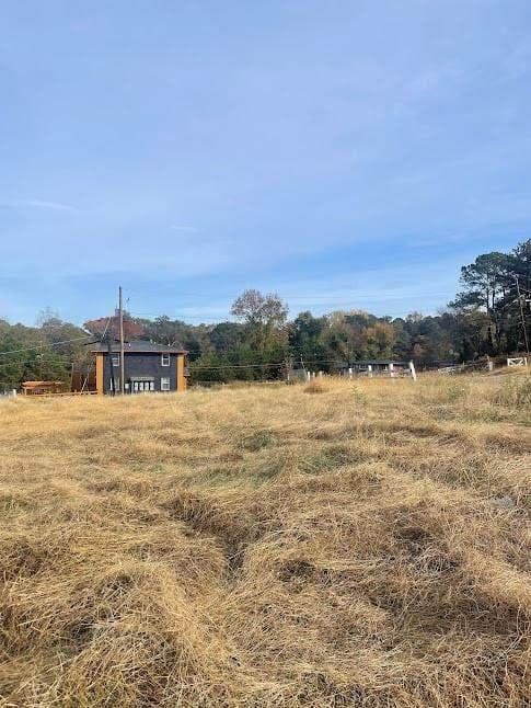 unimproved land for sale at 125 Lamar Avenue, Atlanta, GA 30314 — photo 2