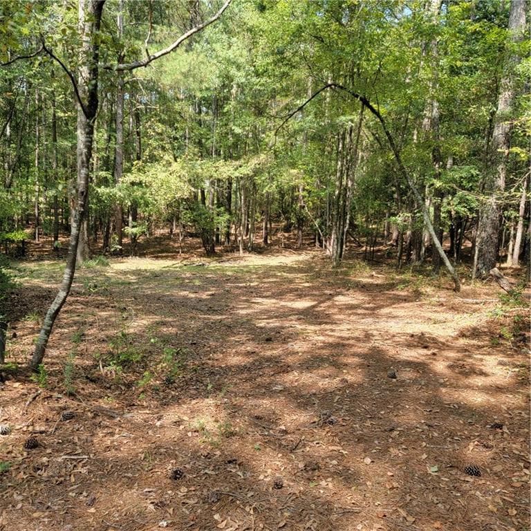 3 bedroom, 2 bathroom, 2,001 sq ft single family residence for rent at 3941 Lake Carlton Road, Loganville, GA 30052 for $1,995 a month — photo 5
