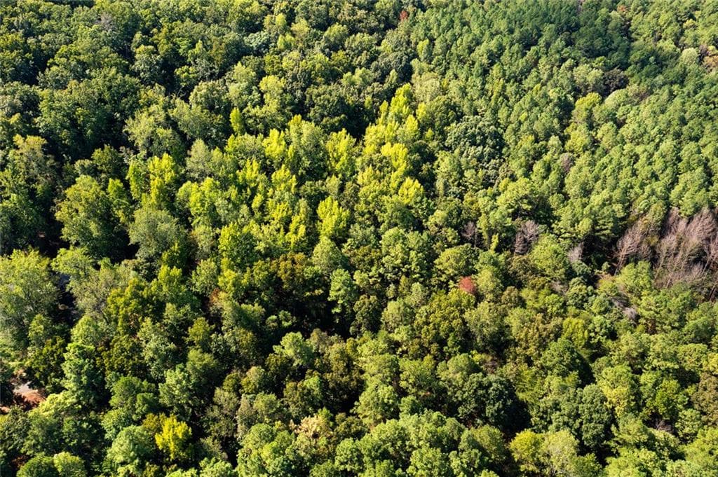 unimproved land for sale at 0 SW Oakmont Drive, Rome, GA 30161 — photo 3