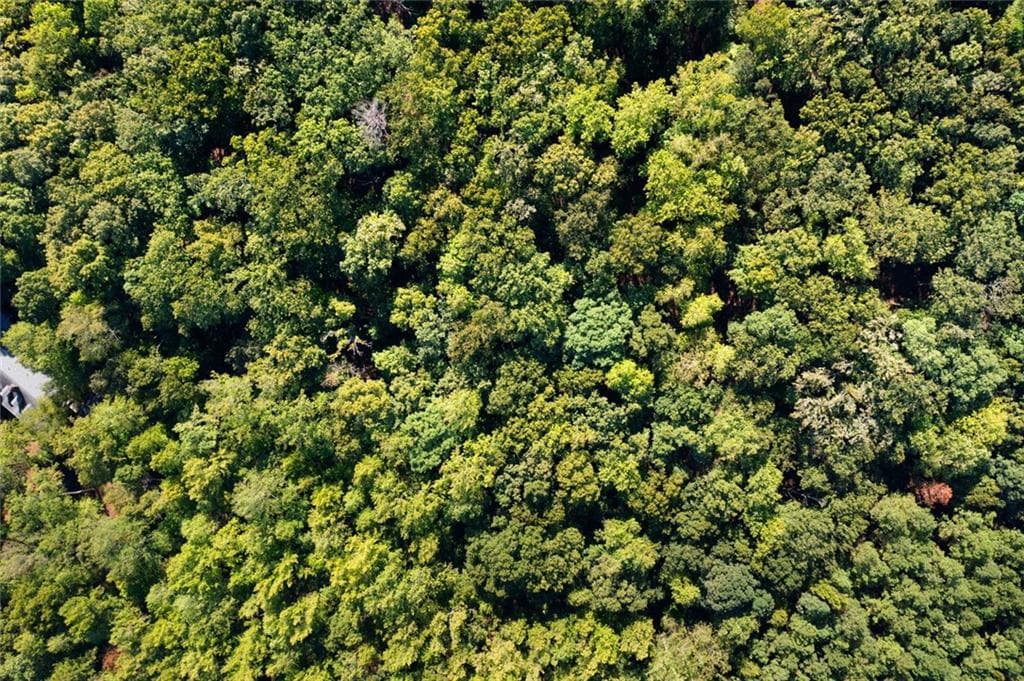 unimproved land for sale at 0 SW Oakmont Drive, Rome, GA 30161 — photo 6