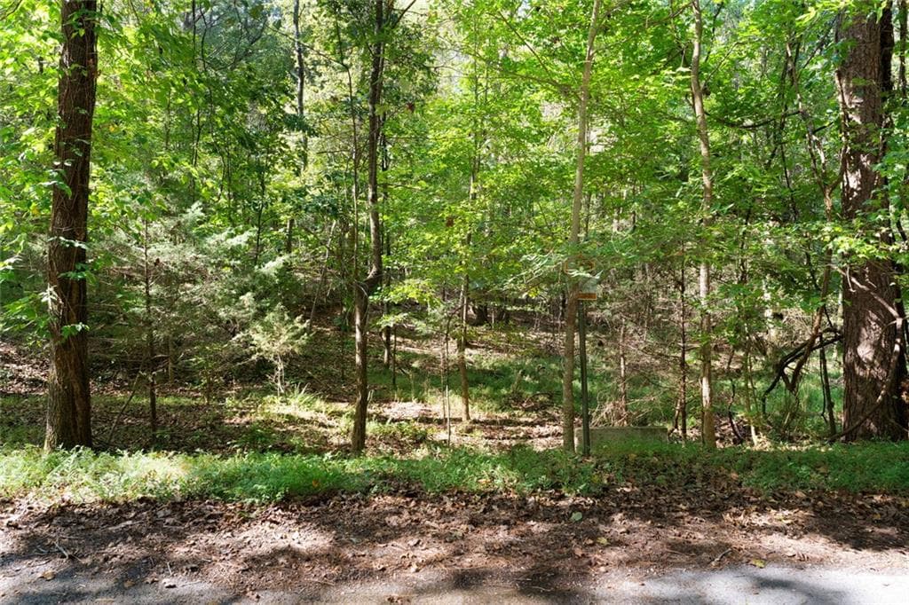unimproved land for sale at 0 SW Oakmont Drive, Rome, GA 30161 — photo 10