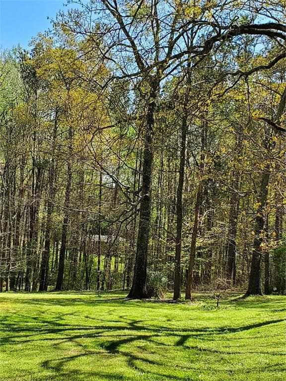 unimproved land for sale at 0 SE Christian Circle Circle, Conyers, GA 30013 — photo 2