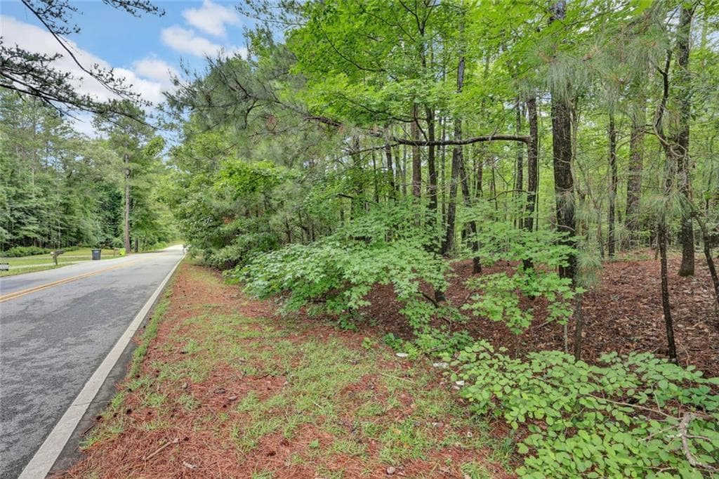 unimproved land for sale at 0 SE Christian Circle Circle, Conyers, GA 30013 — photo 9