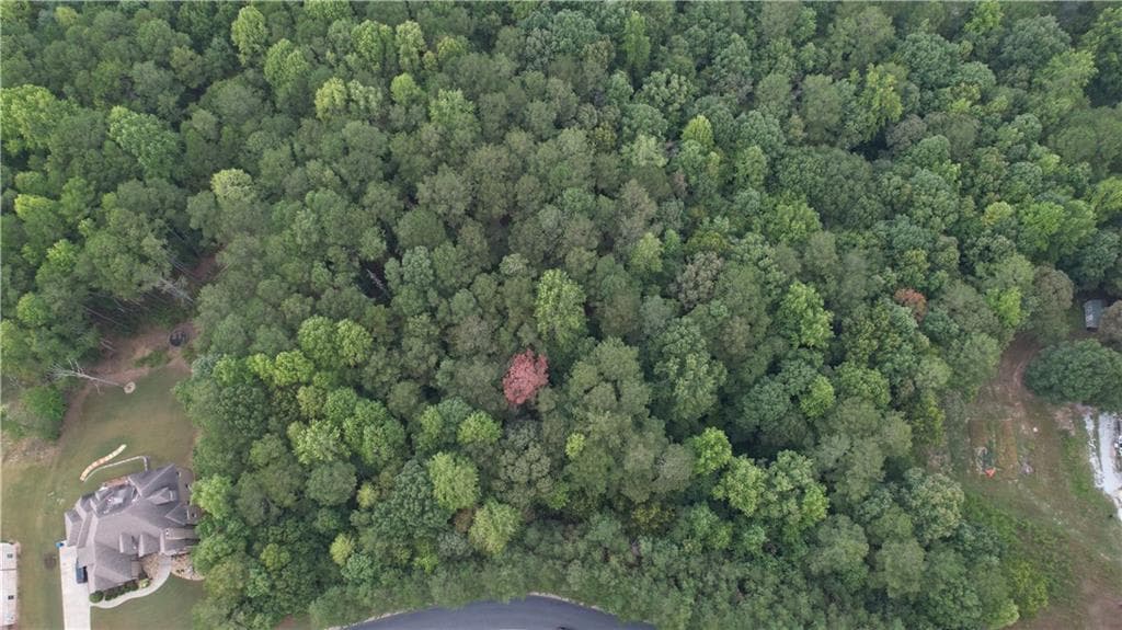 unimproved land for sale at 1610 Tapestry Ridge, Lawrenceville, GA 30045 — photo 2