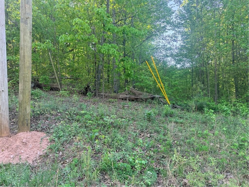 other for sale at 0000 Mountain View Circle, Bremen, GA 30110
