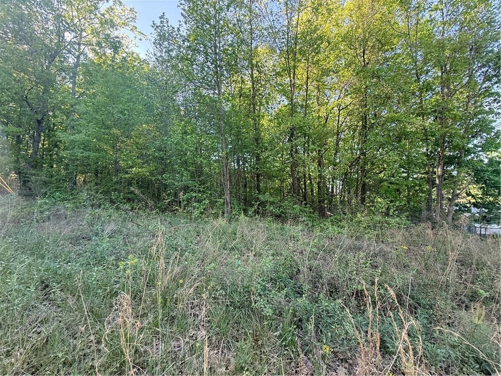 other for sale at 0000 Mountain View Circle, Bremen, GA 30110 — photo 5