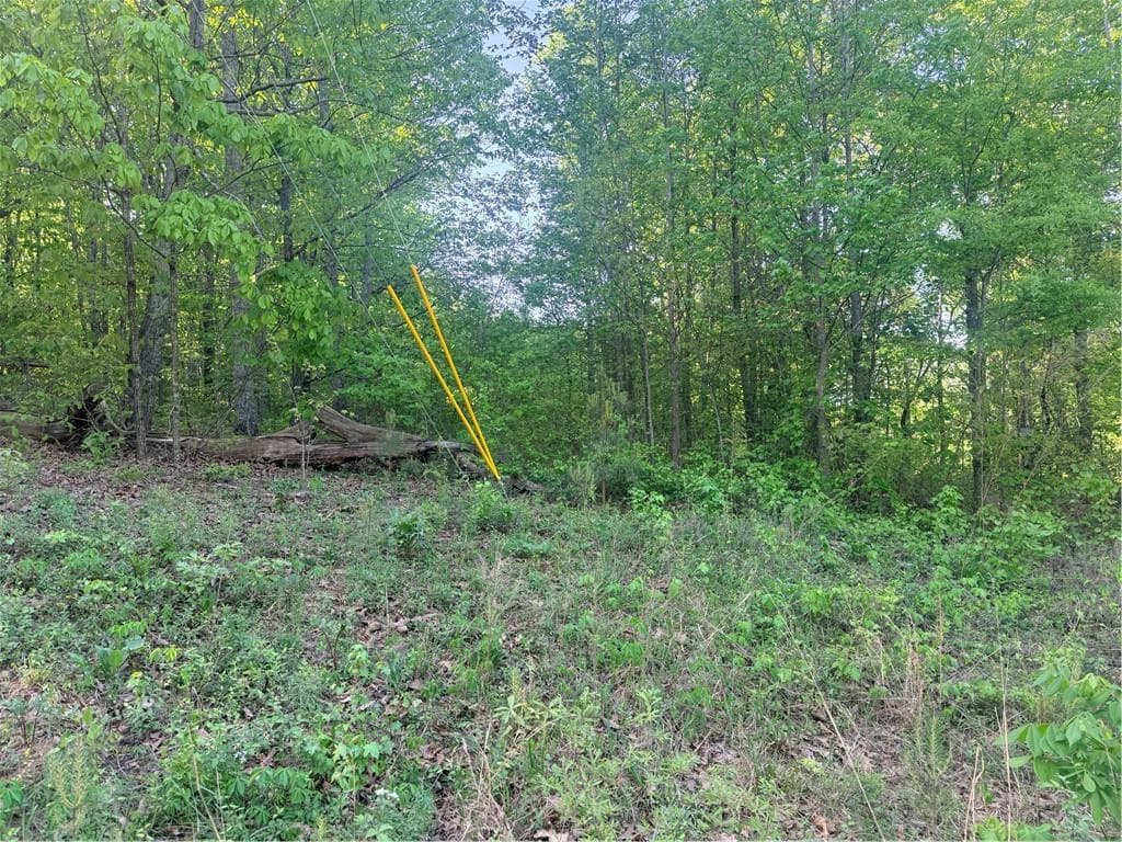 other for sale at 0000 Mountain View Circle, Bremen, GA 30110 — photo 6