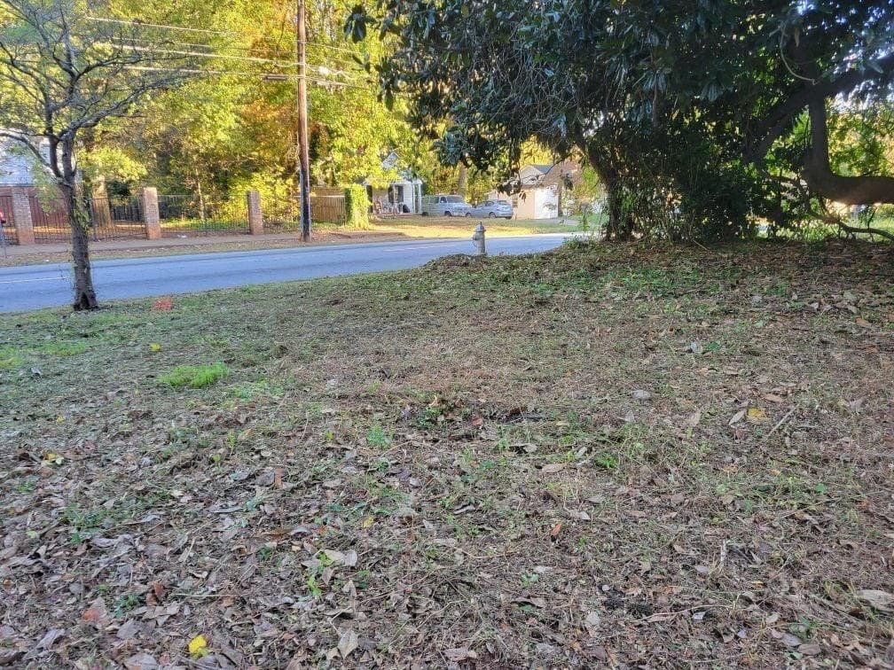 unimproved land for sale at 1669 Stanton Road, Atlanta, GA 30311 — photo 5