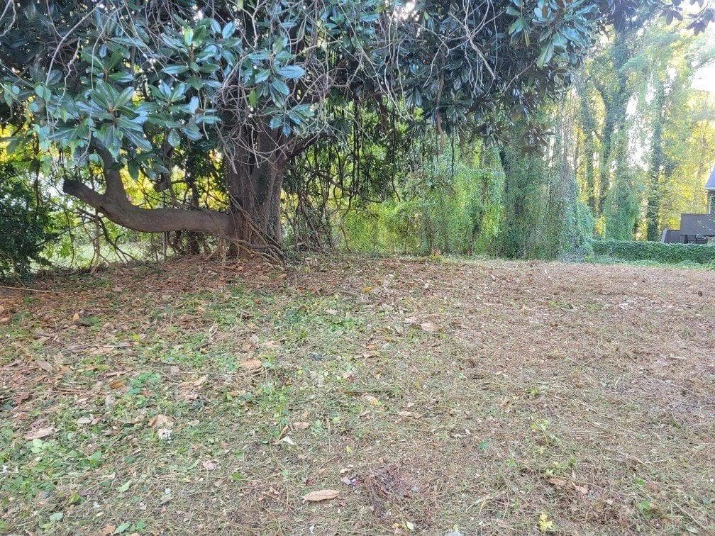unimproved land for sale at 1669 Stanton Road, Atlanta, GA 30311 — photo 6